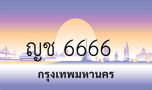 ญช 6666